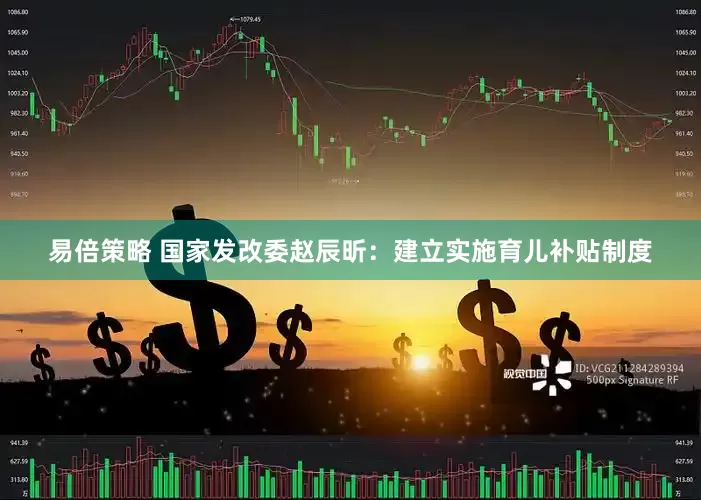 易倍策略 国家发改委赵辰昕：建立实施育儿补贴制度