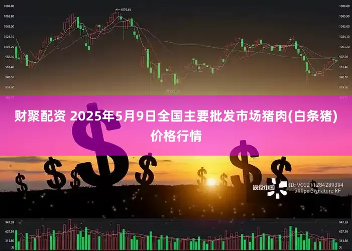 财聚配资 2025年5月9日全国主要批发市场猪肉(白条猪)价格行情