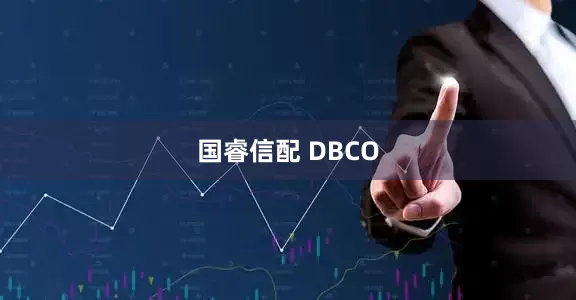 国睿信配 DBCO